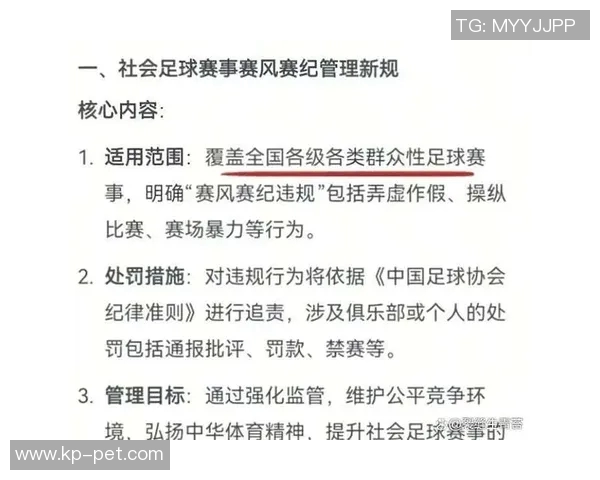 足协发布赛风赛纪新规，违规将被重罚